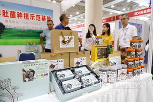 魚臺79家企業(yè)亮相省城，生態(tài)農(nóng)產(chǎn)品與保潔服務(wù)雙星閃耀